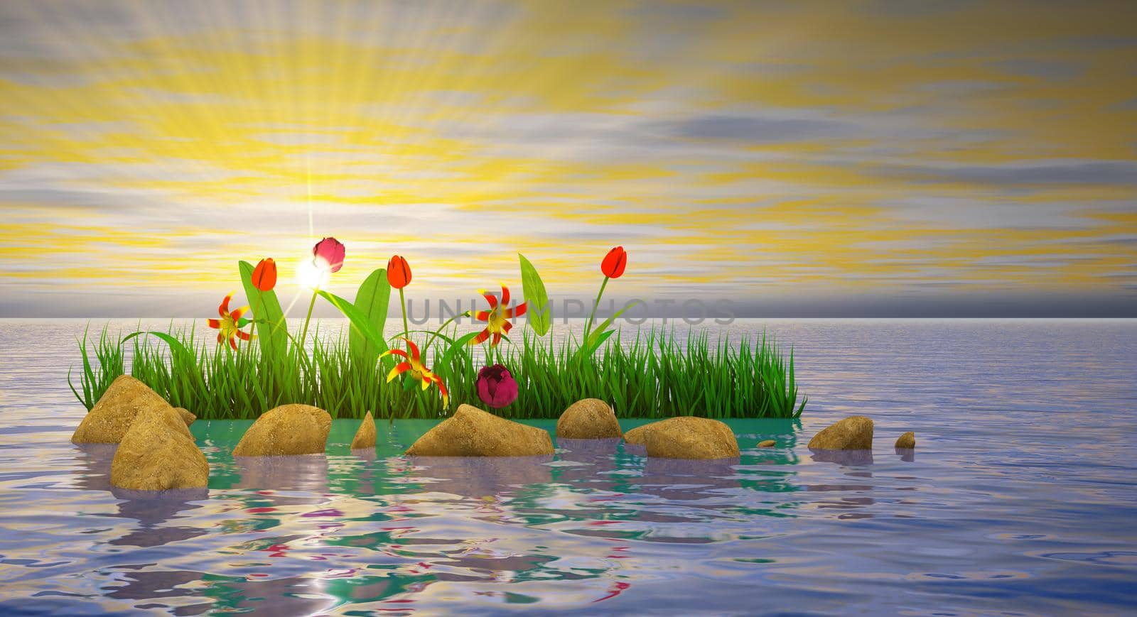 Flowers and stones in the water at sunset background. 3D render