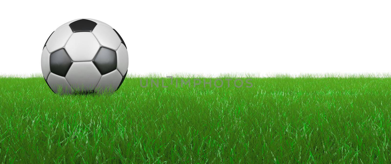 Soccer ball on the grass, on a white background. 3D render.