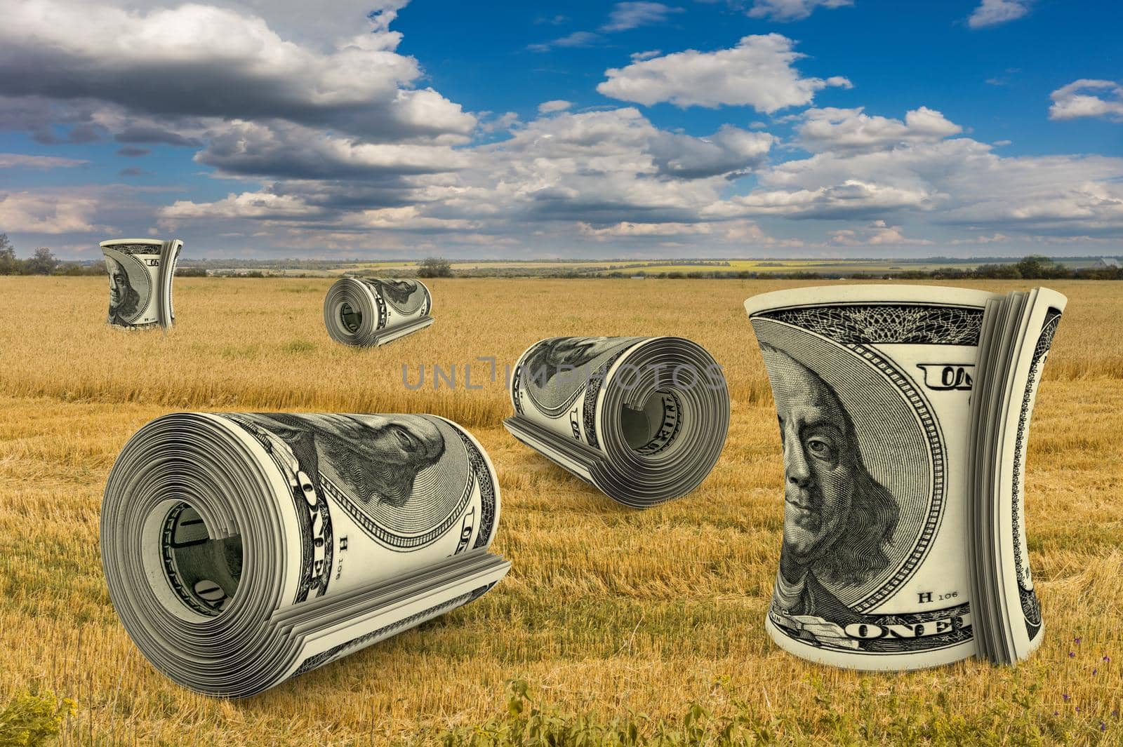 collage rolls of dollar bills in a wheat field, 3D rendering.