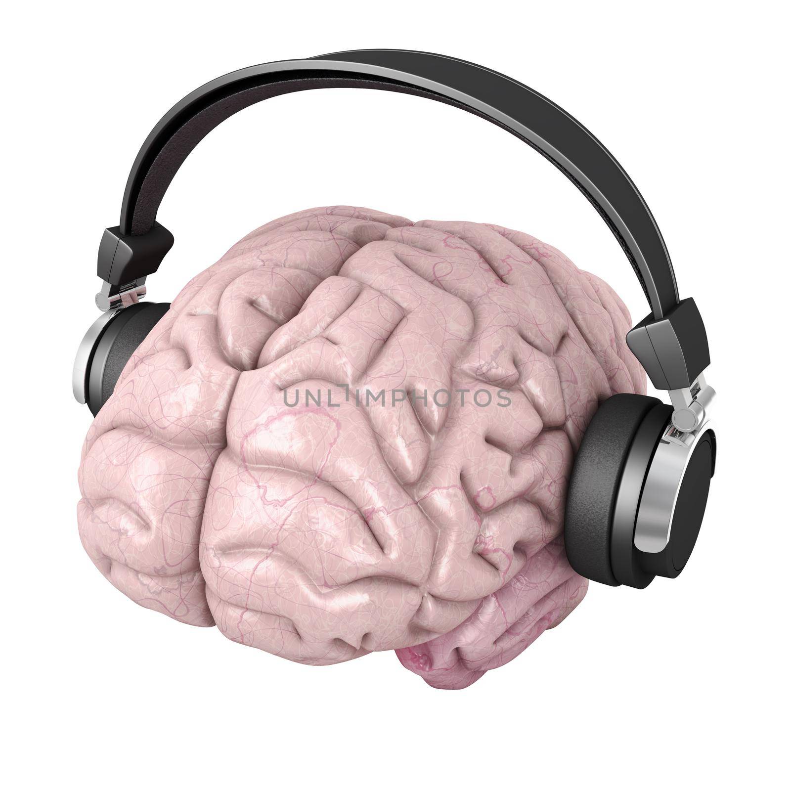 Human brain with headphones on white background,3D illustration