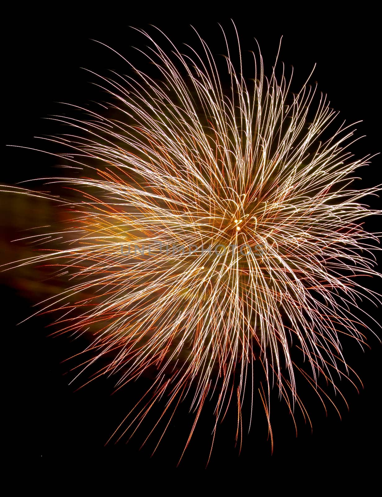 Colorful fireworks isolated on black sky background.