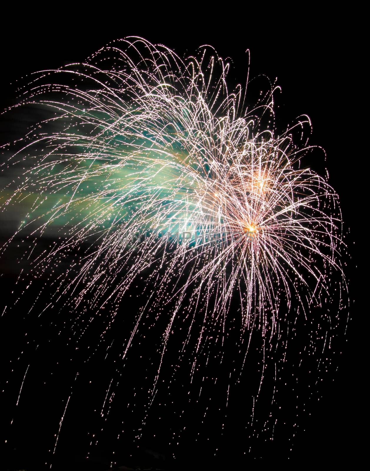 Colorful fireworks isolated on black sky background.