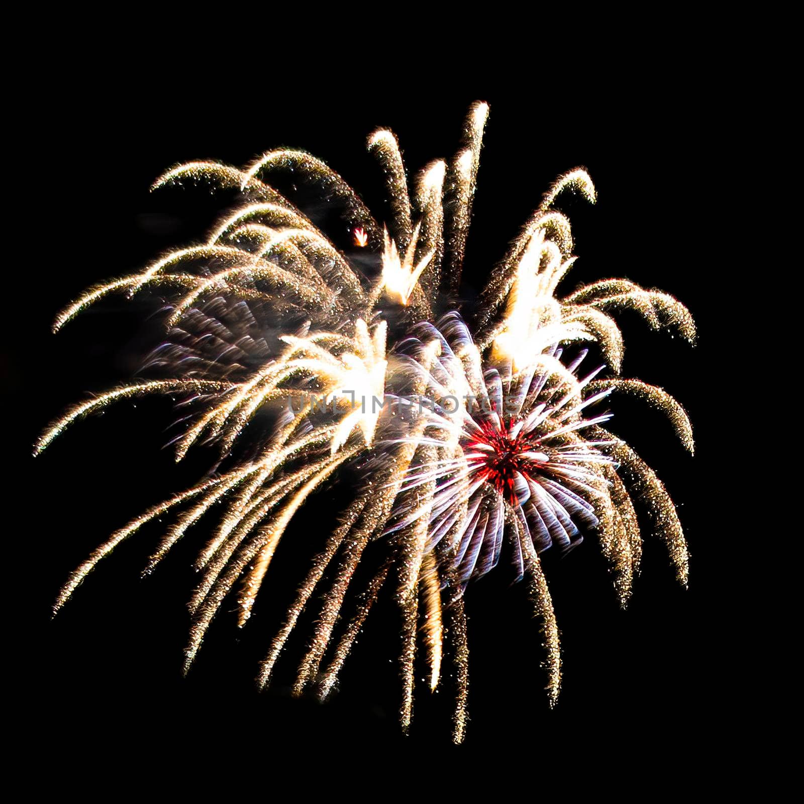 Colorful fireworks isolated on black sky background.