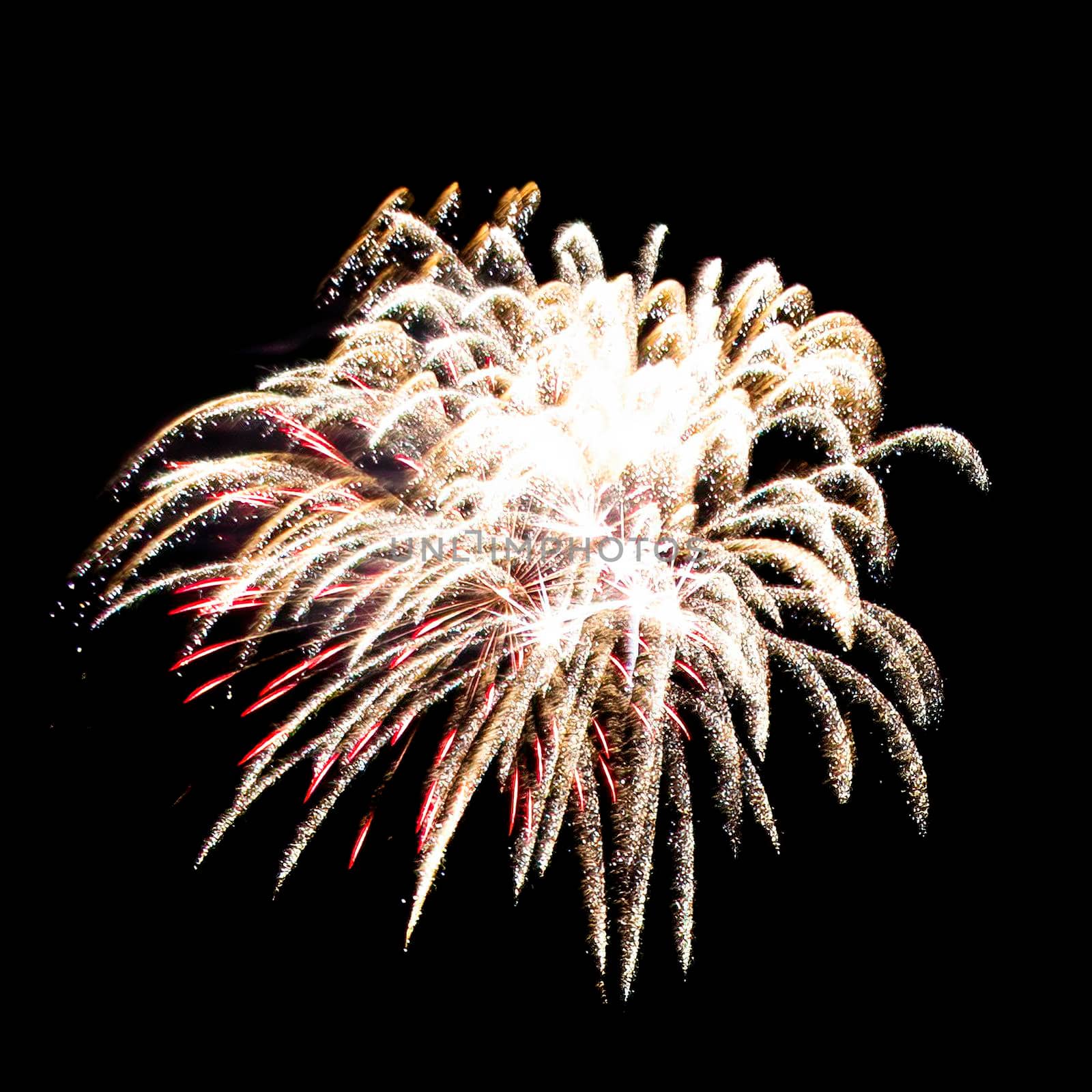 Colorful fireworks isolated on black sky background.