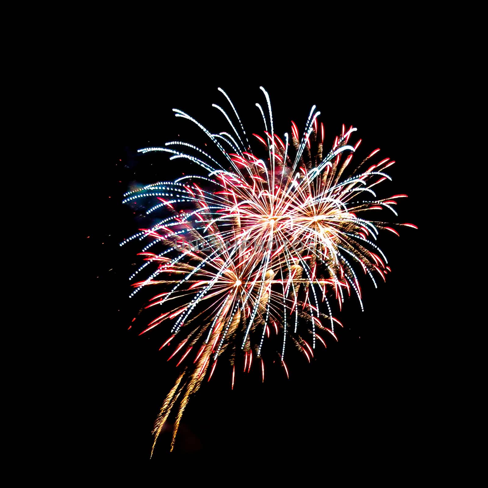 Colorful fireworks isolated on black sky background.