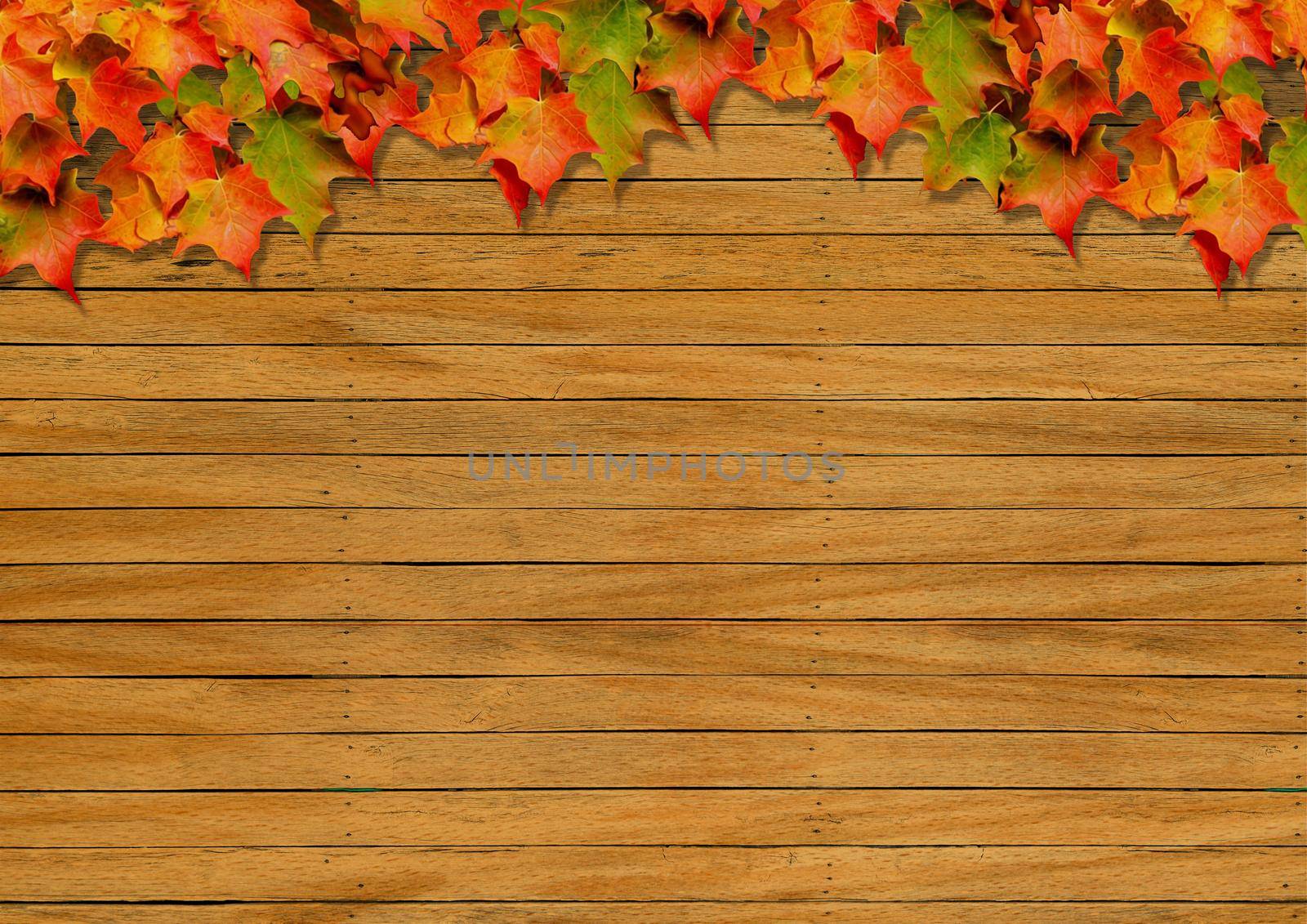 Autumn background image