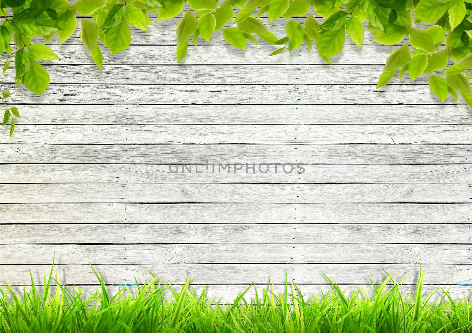 white wood background image