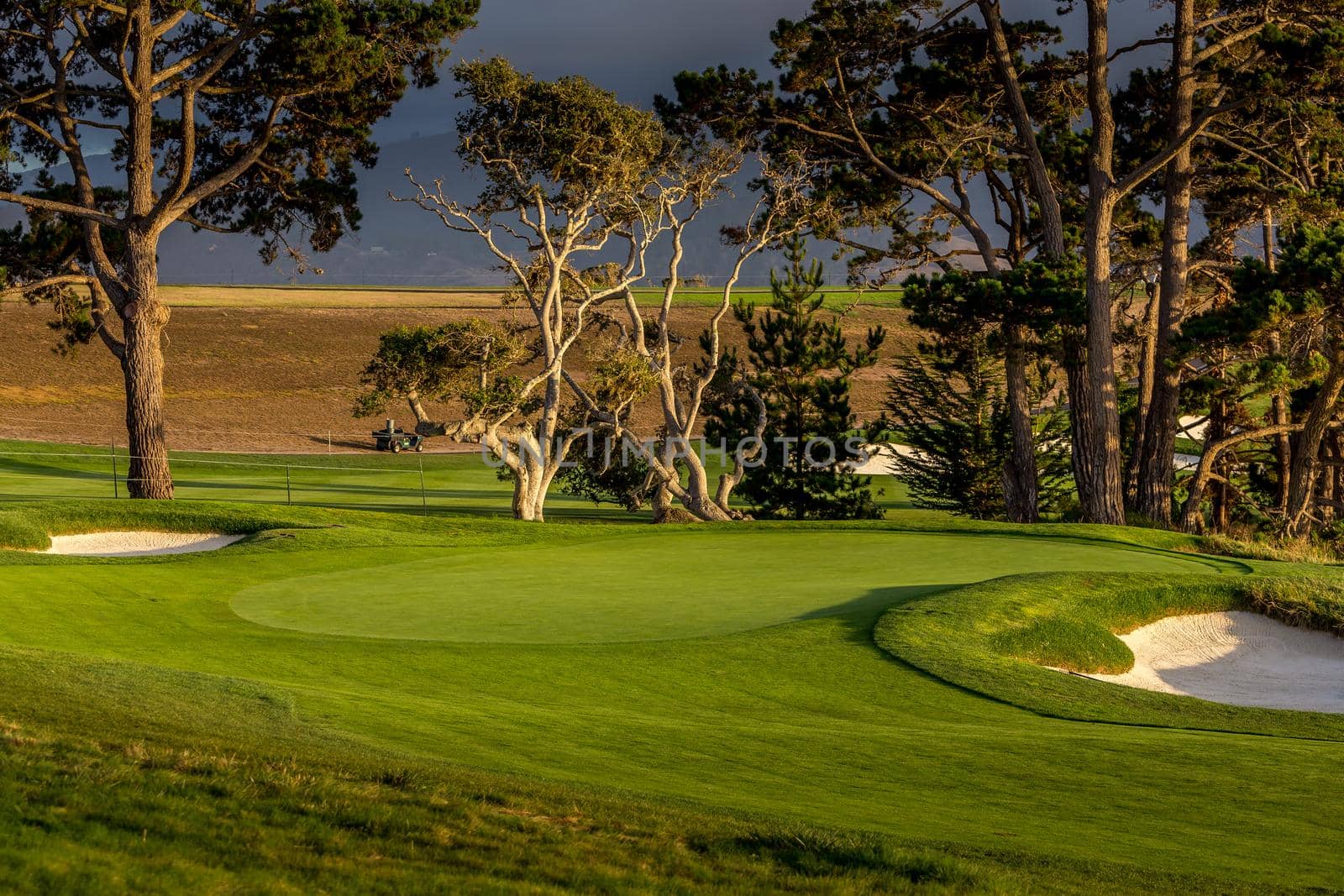 Coastline golf course, greens and bunkers in California, usa