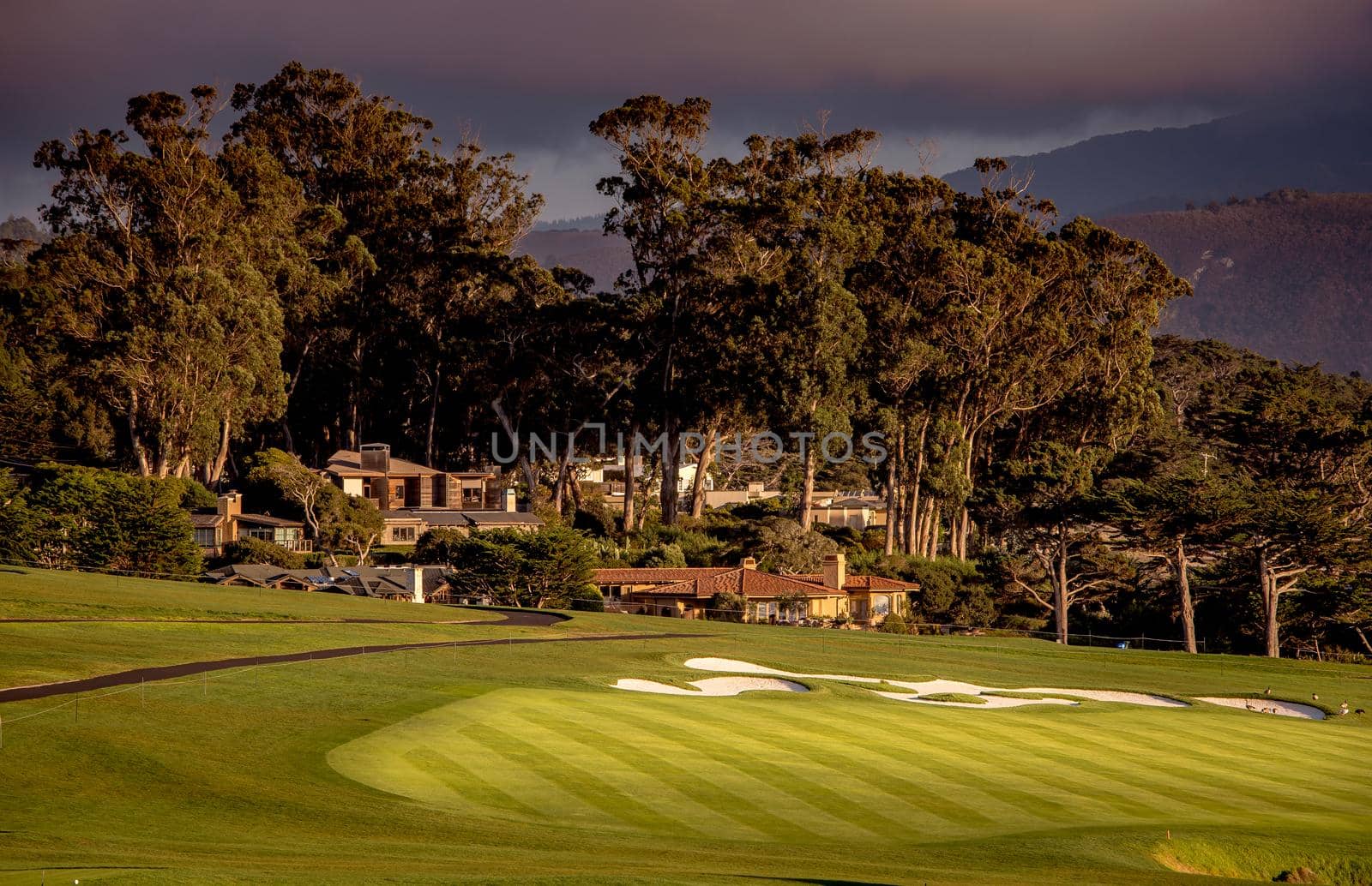 Coastline golf course, greens and bunkers in California, usa