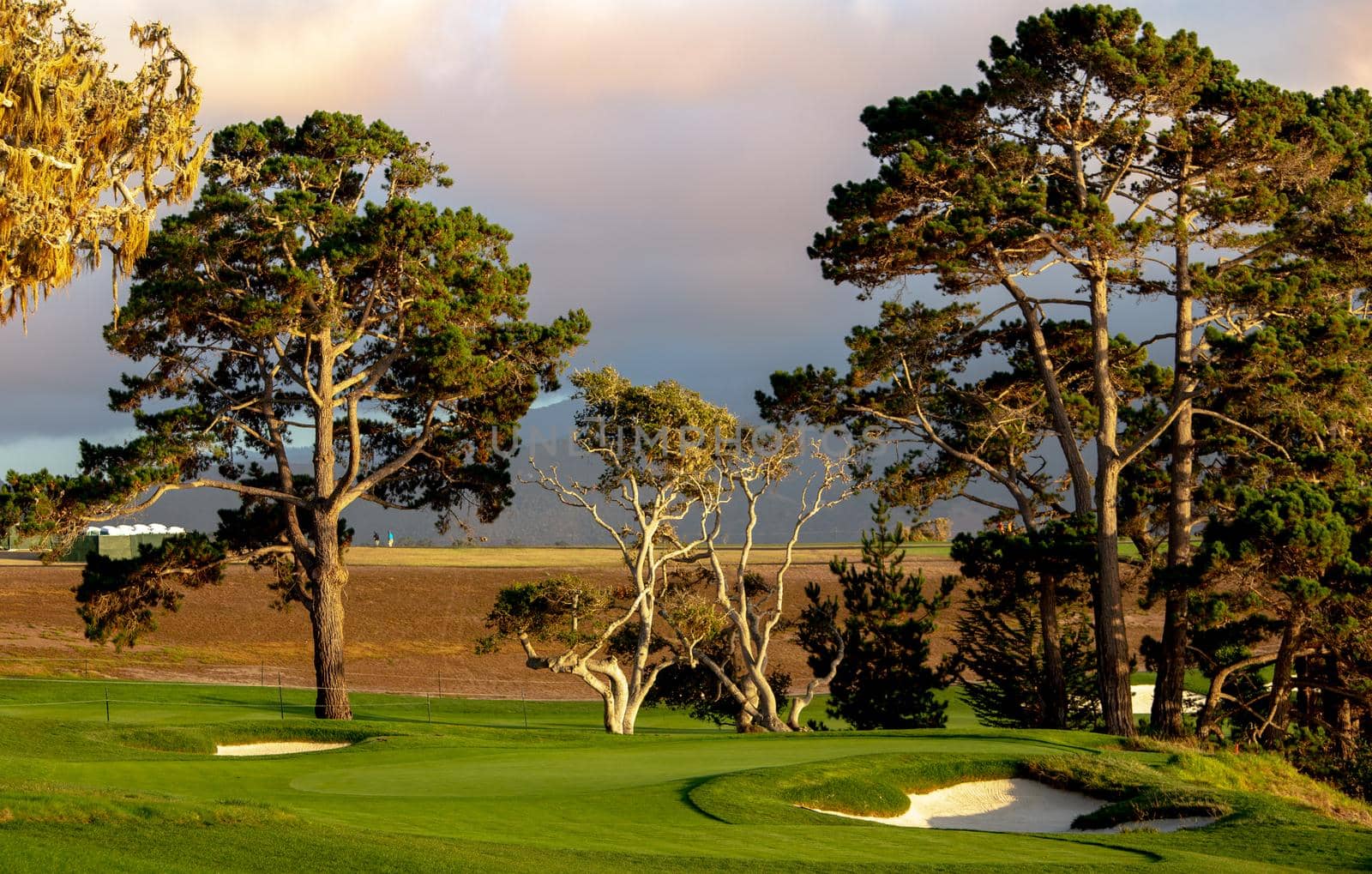 Coastline golf course, greens and bunkers in California, usa