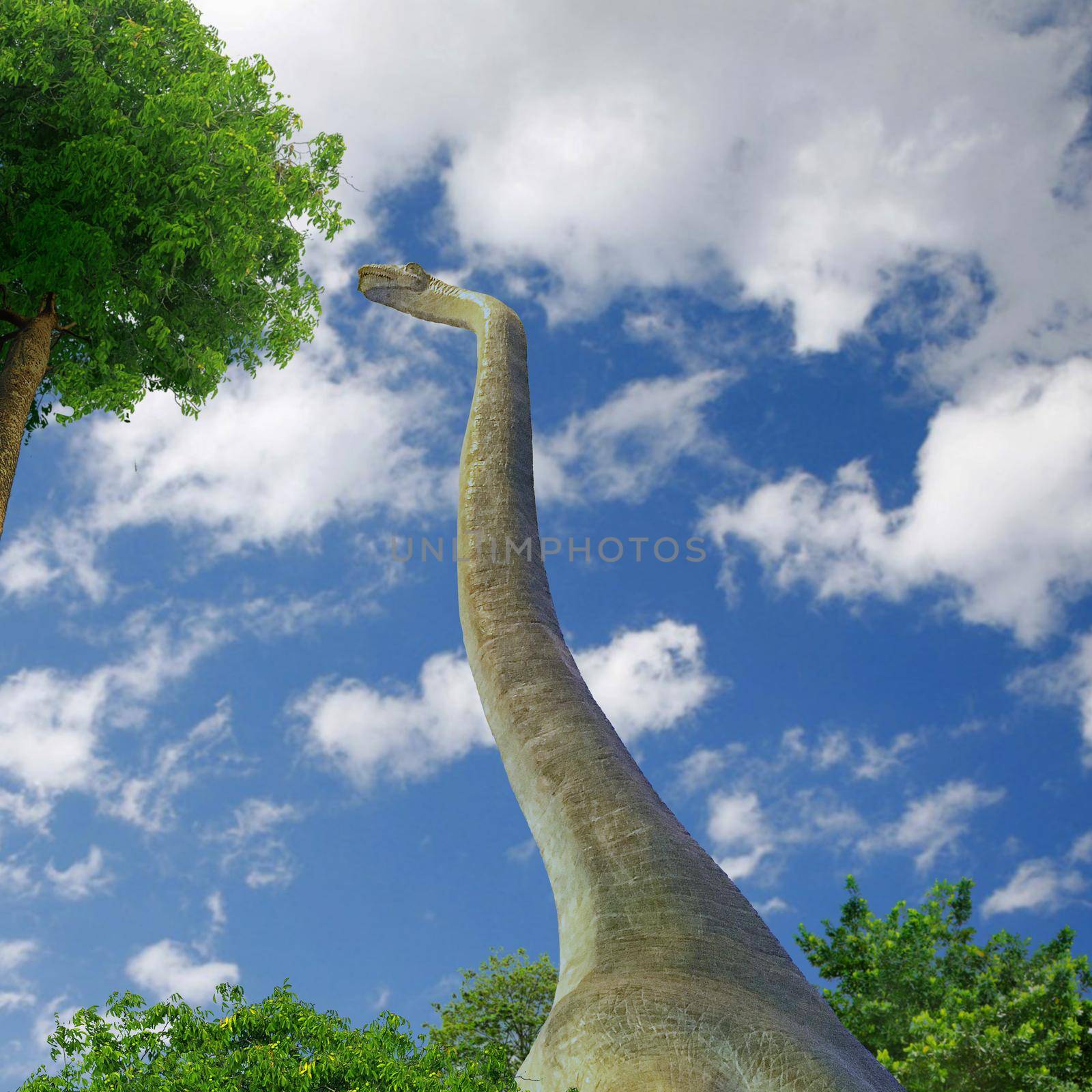 Dinosaur live image