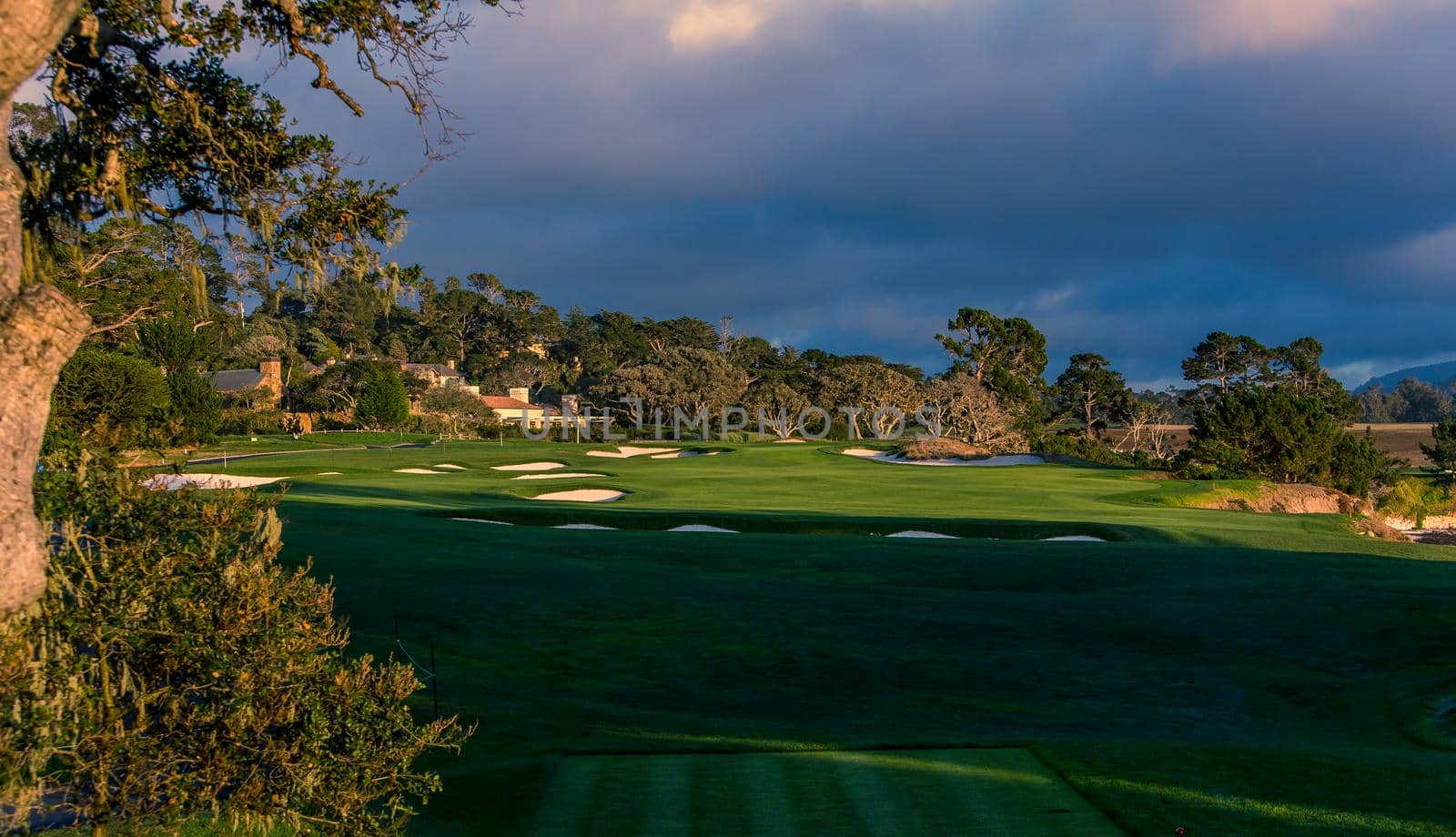 Coastline golf course, greens and bunkers in California, usa