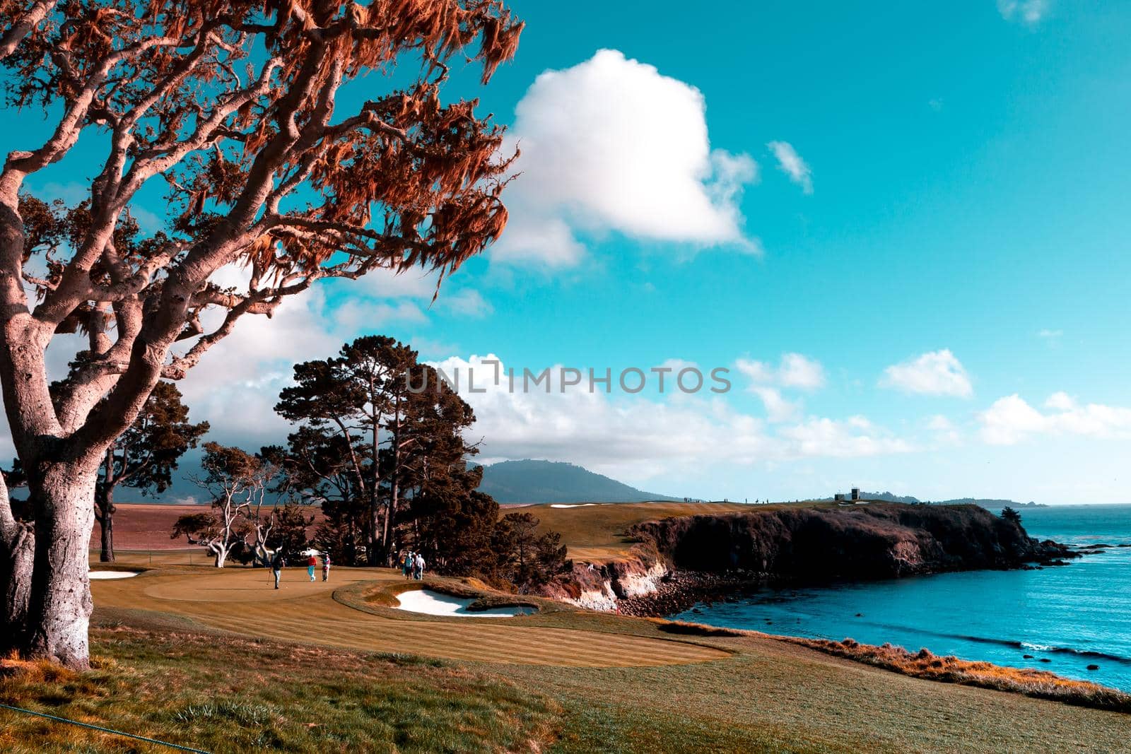 Coastline golf course, greens and bunkers in California, usa