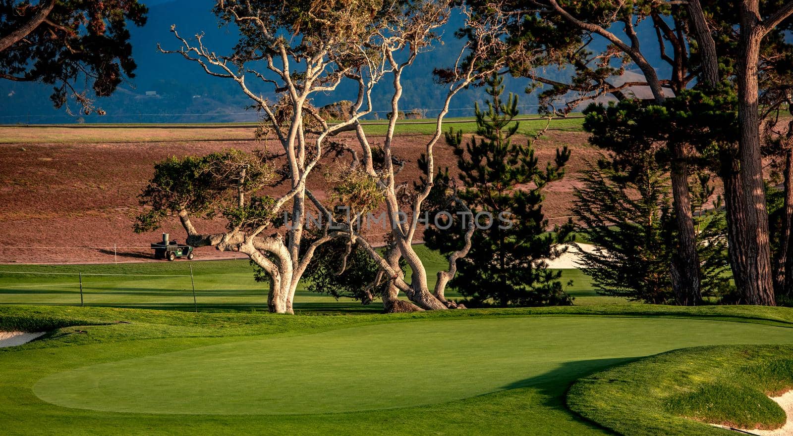 Coastline golf course, greens and bunkers in California, usa