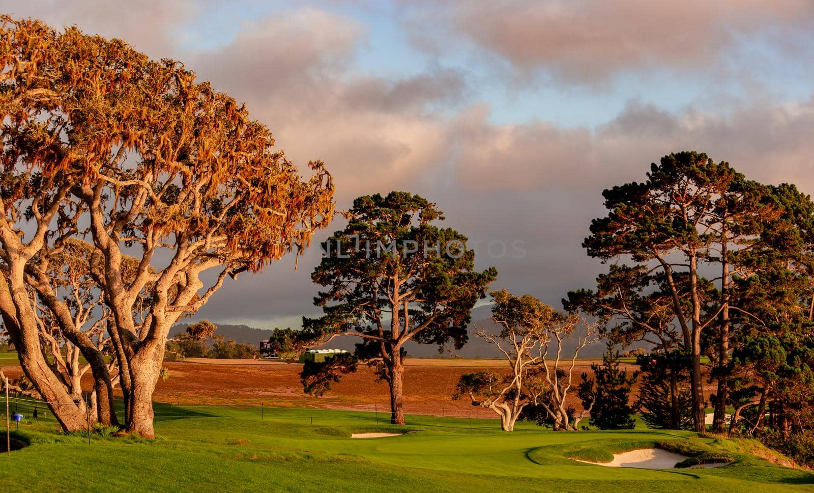 Coastline golf course, greens and bunkers in California, usa