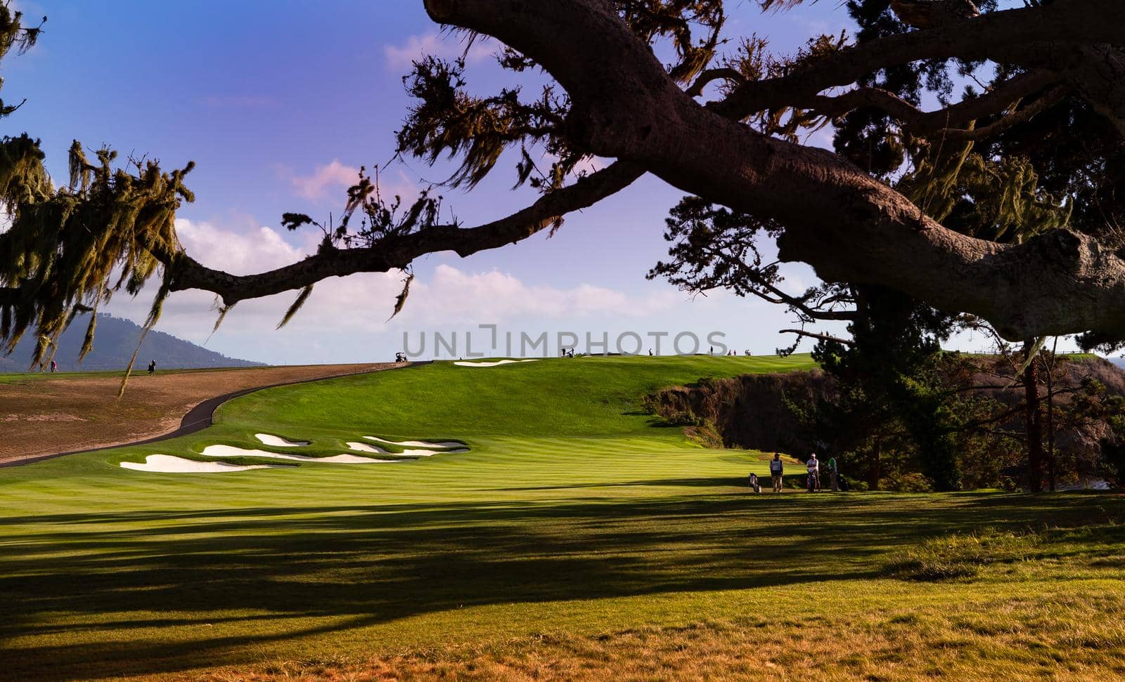 Coastline golf course, greens and bunkers in California, usa