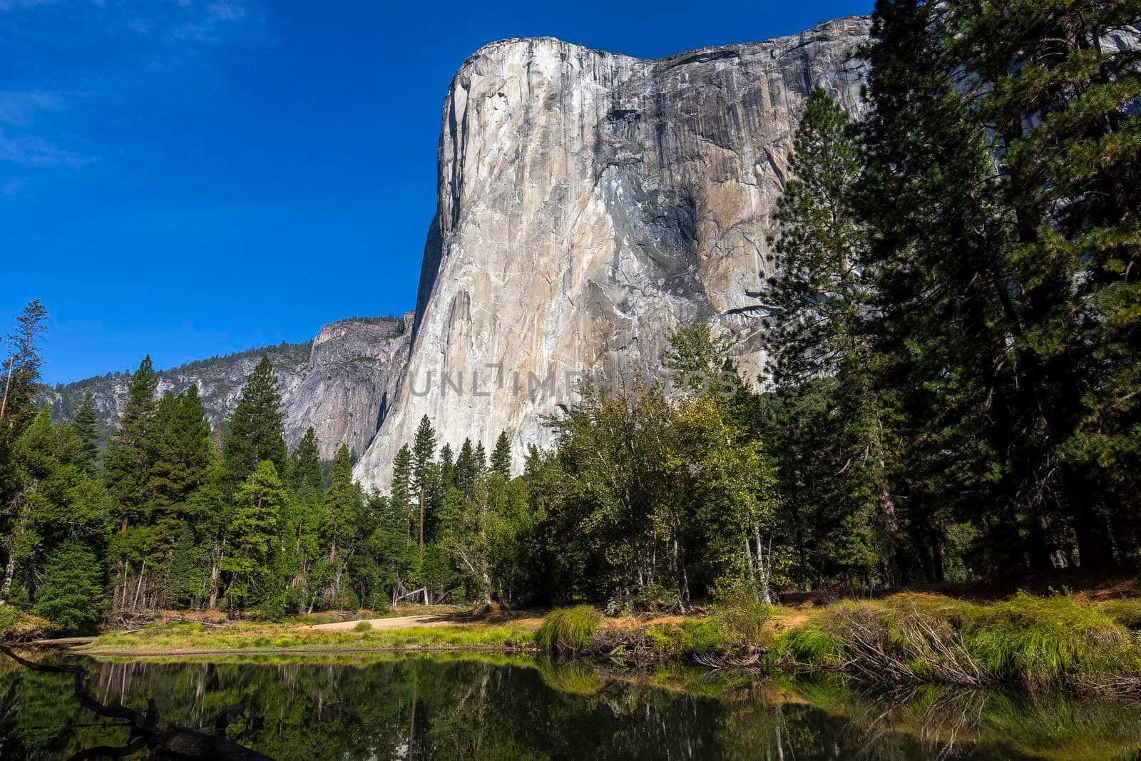 World famous rock climbing wall of El Capitan, Yosemite national park, California, usa