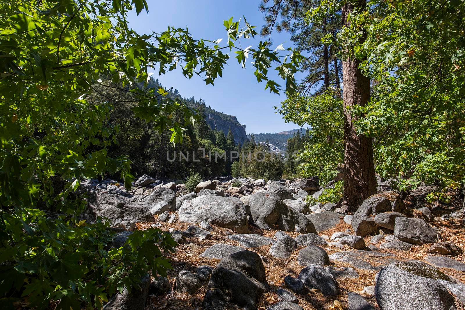 Yosemite valley, Yosemite national park by photogolfer