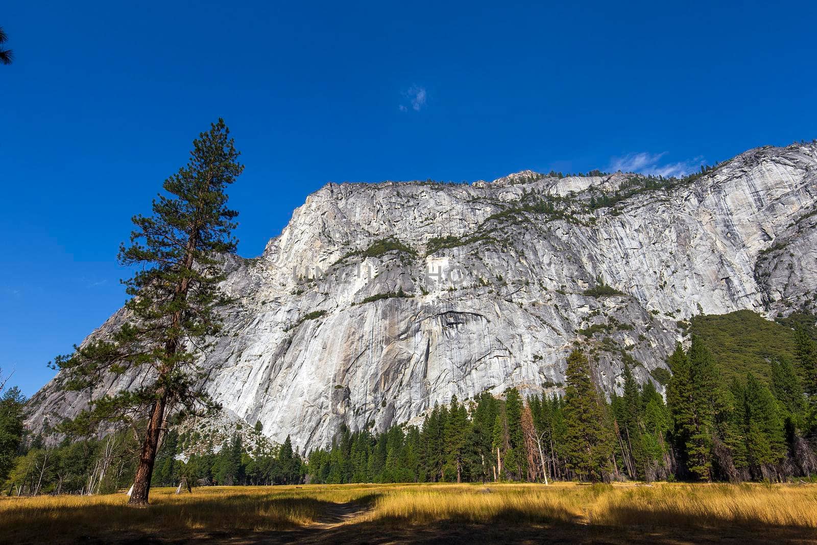 Yosemite valley, Yosemite national park, California, usa