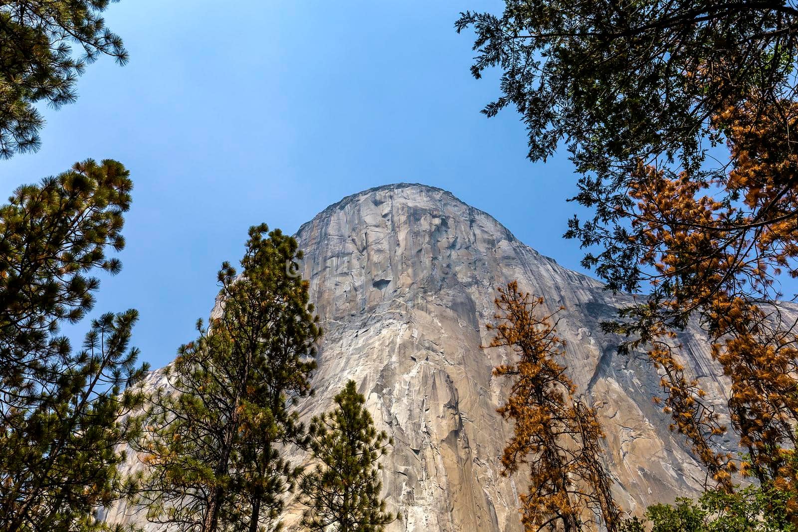 El Capitan, Yosemite national park, California, usa by photogolfer