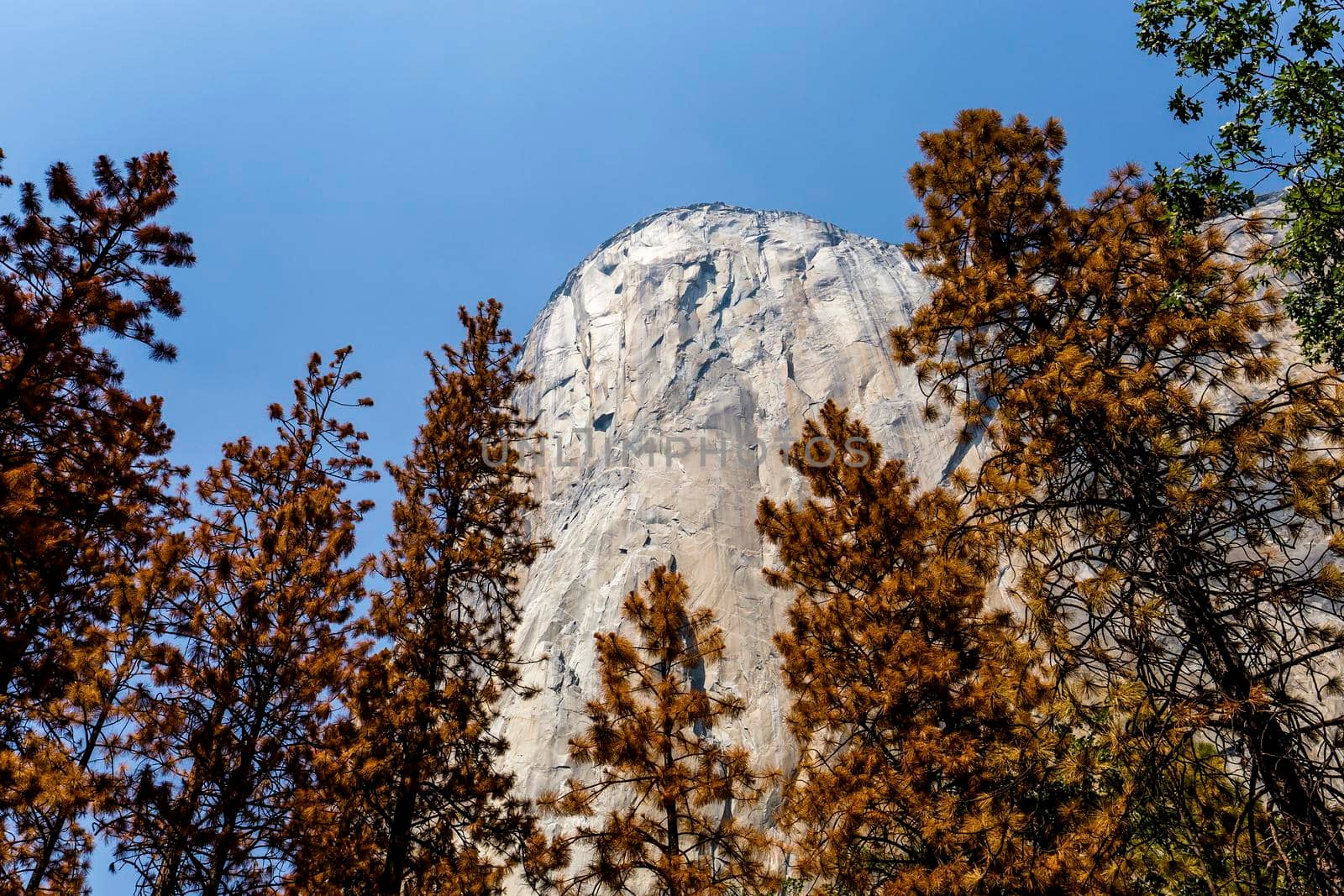 El Capitan, Yosemite national park, California, usa by photogolfer