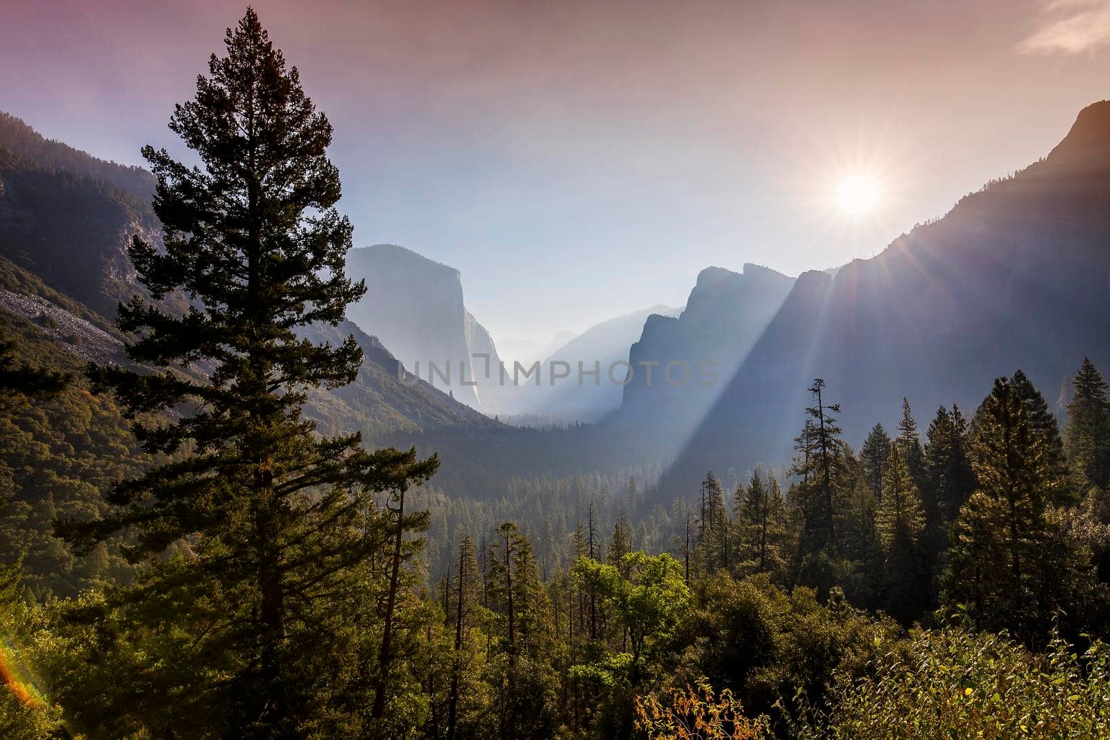 Yosemite valley at the sunrise, Yosemite national park, California, usa
