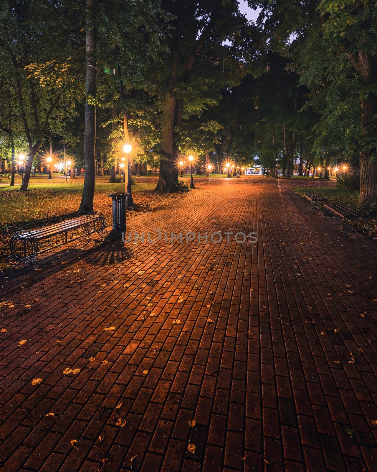 A night park lit by lanterns with a stone pavement, trees, fallen leaves and benches in early autumn. Cityscape.