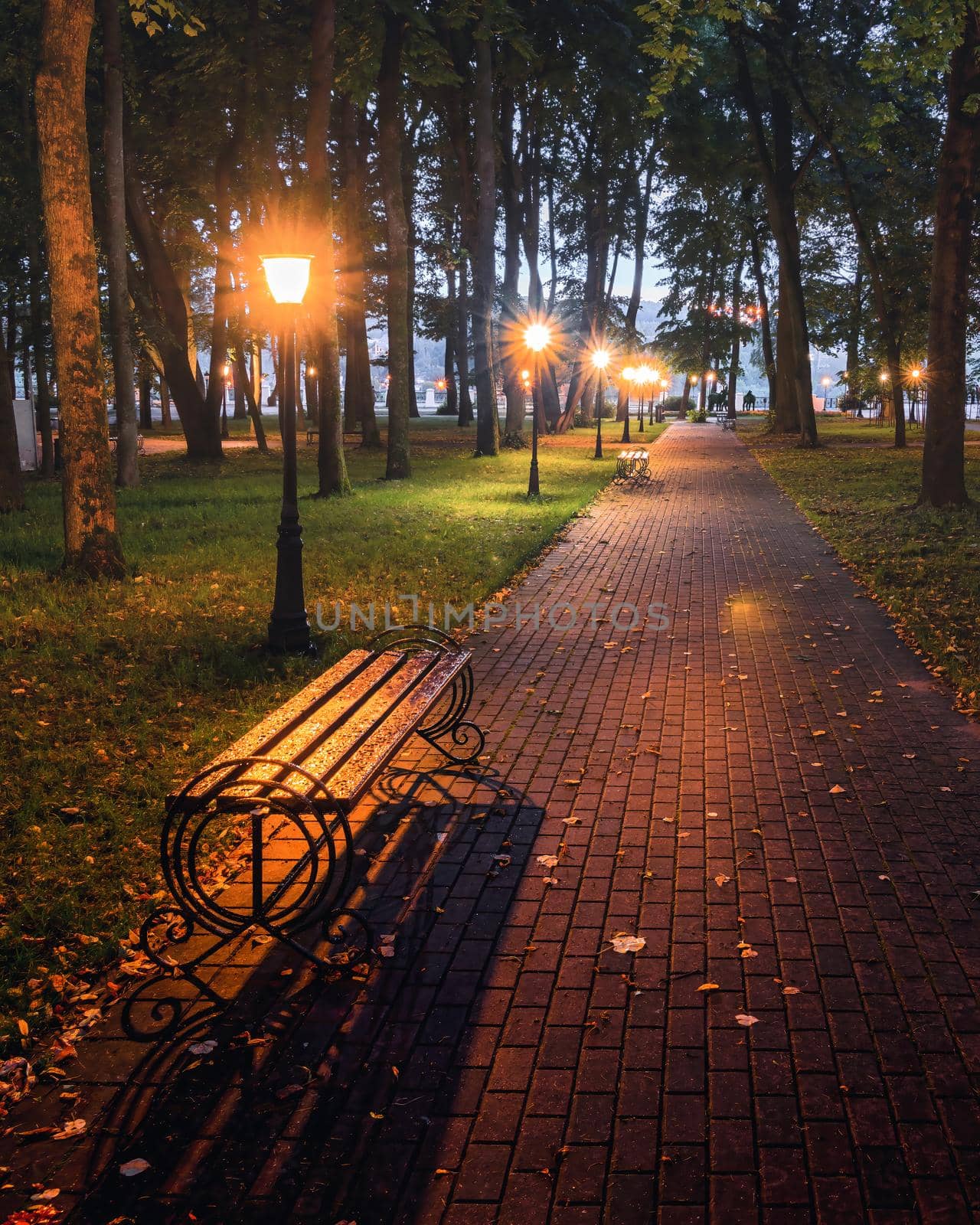 A night park lit by lanterns with a stone pavement, trees, fallen leaves and benches in early autumn. Cityscape.