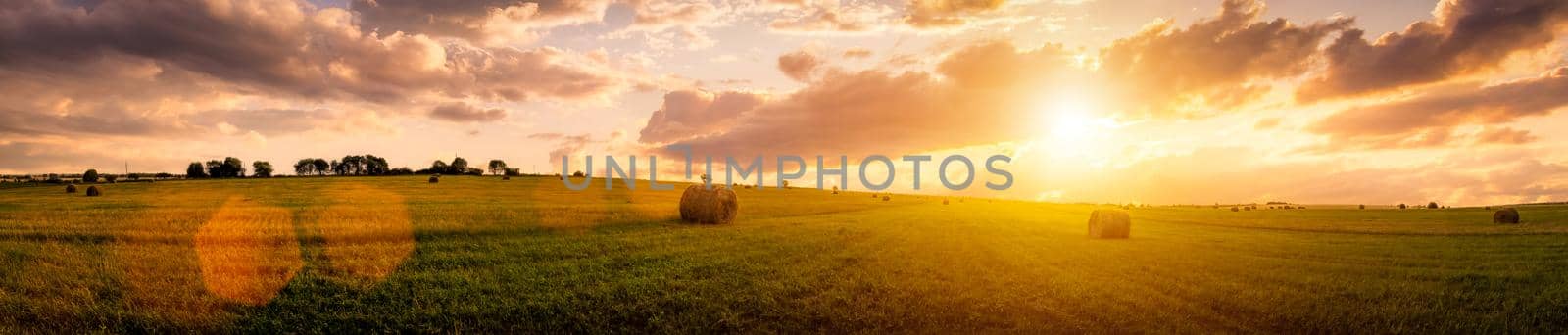Sunset in a field with haystacks on a summer or early autumn evening with a cloudy sky in the background. Procurement of animal feed in agriculture.  by Eugene_Yemelyanov