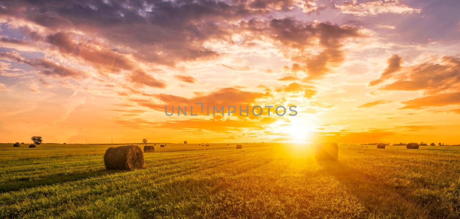 Sunset or sunrise in a field with haystacks on a summer or early autumn evening with a cloudy sky in the background. Procurement of animal feed in agriculture. Landscape.