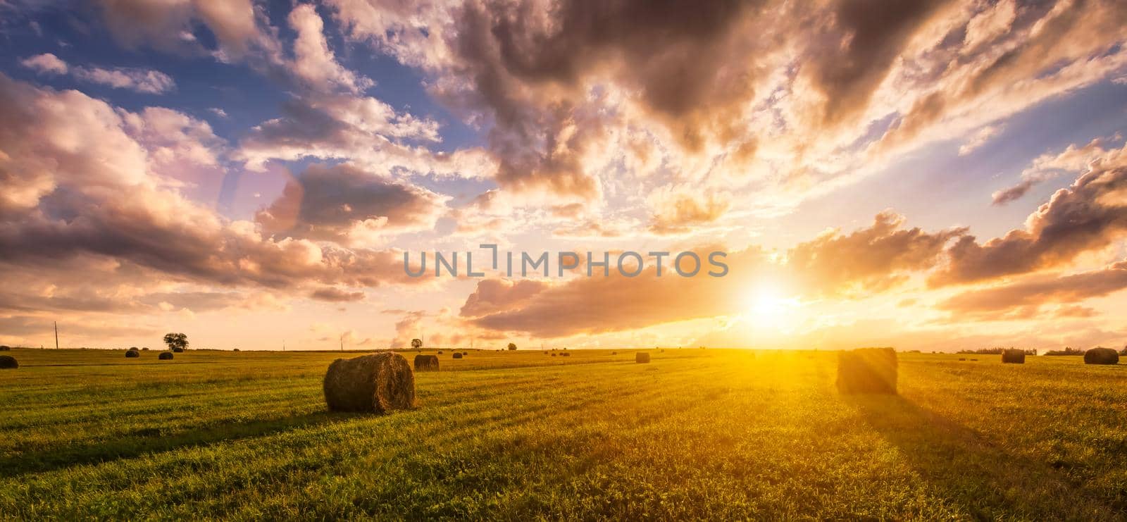 Sunset in a field with haystacks on a summer or early autumn evening with a cloudy sky in the background. Procurement of animal feed in agriculture.  by Eugene_Yemelyanov