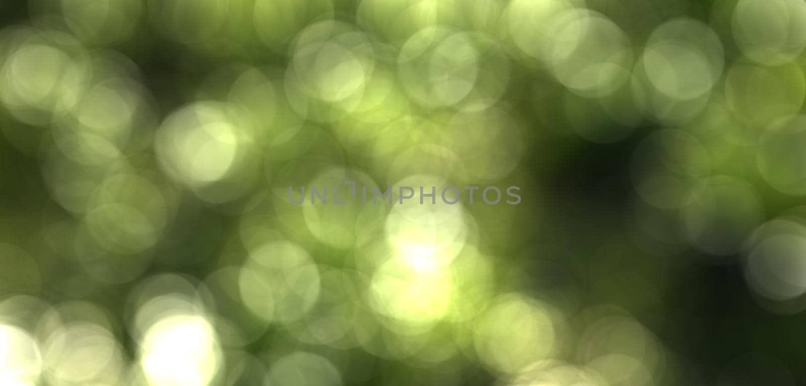 Blurred bokeh background image of bright green foliage in springtime. 