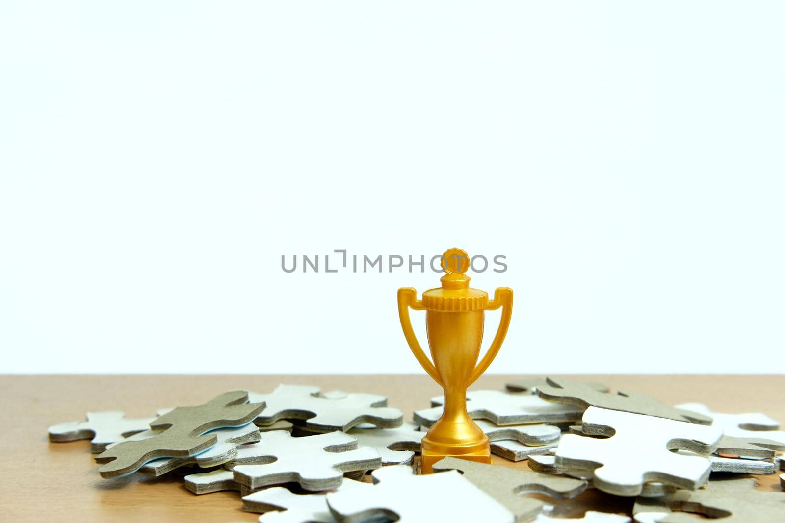 a golden trophy stands between a pile of puzzles by Macrostud