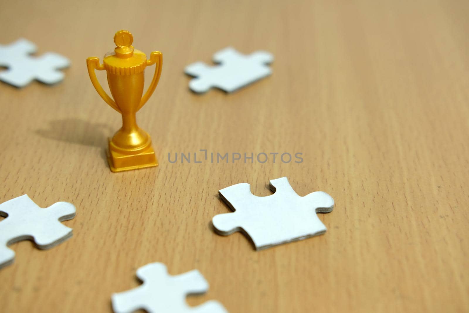 a golden trophy stands between five option/alternative jigsaw puzzles by Macrostud