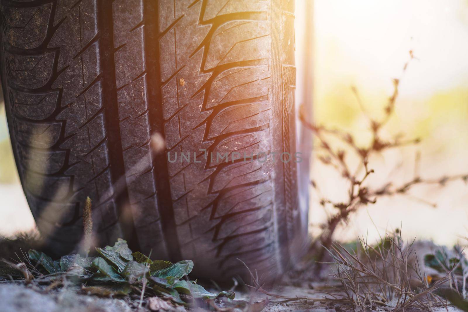 Close up of car tire in the desert, safari by Daxenbichler