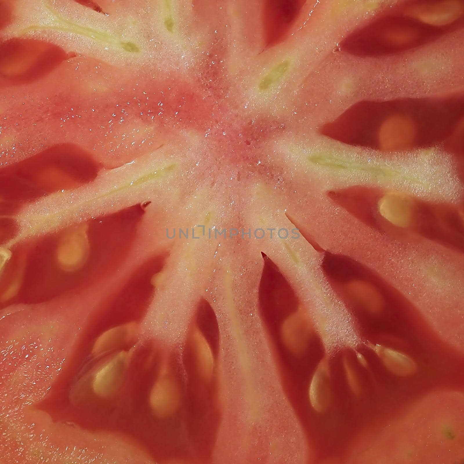macro view of a sliced tomato vegetable