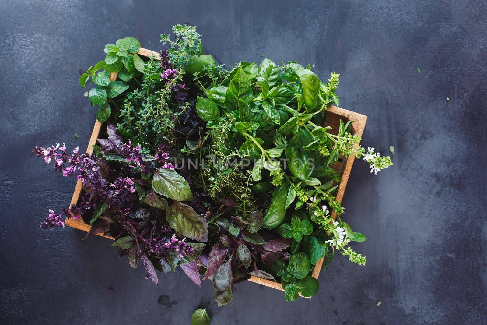 Fresh herbs ingredients for healthy cooking or salad making in a wooden crate.  Rustic dark background, top view, blank space