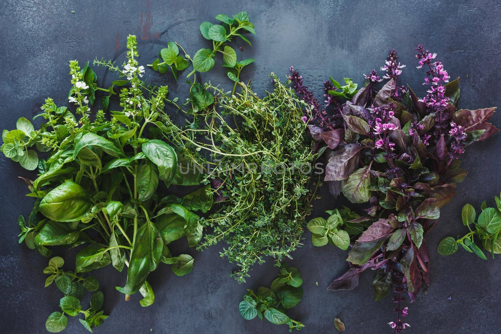 Aromatic herbs on dark background. Fresh green and red basil leaves and flowers , thyme  and mint leaves. Flat lay