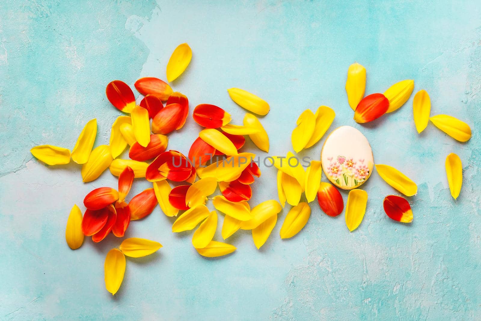Easter egg sugar cookie and yellow and red tulips petal background. Top view, blank space by Slast20