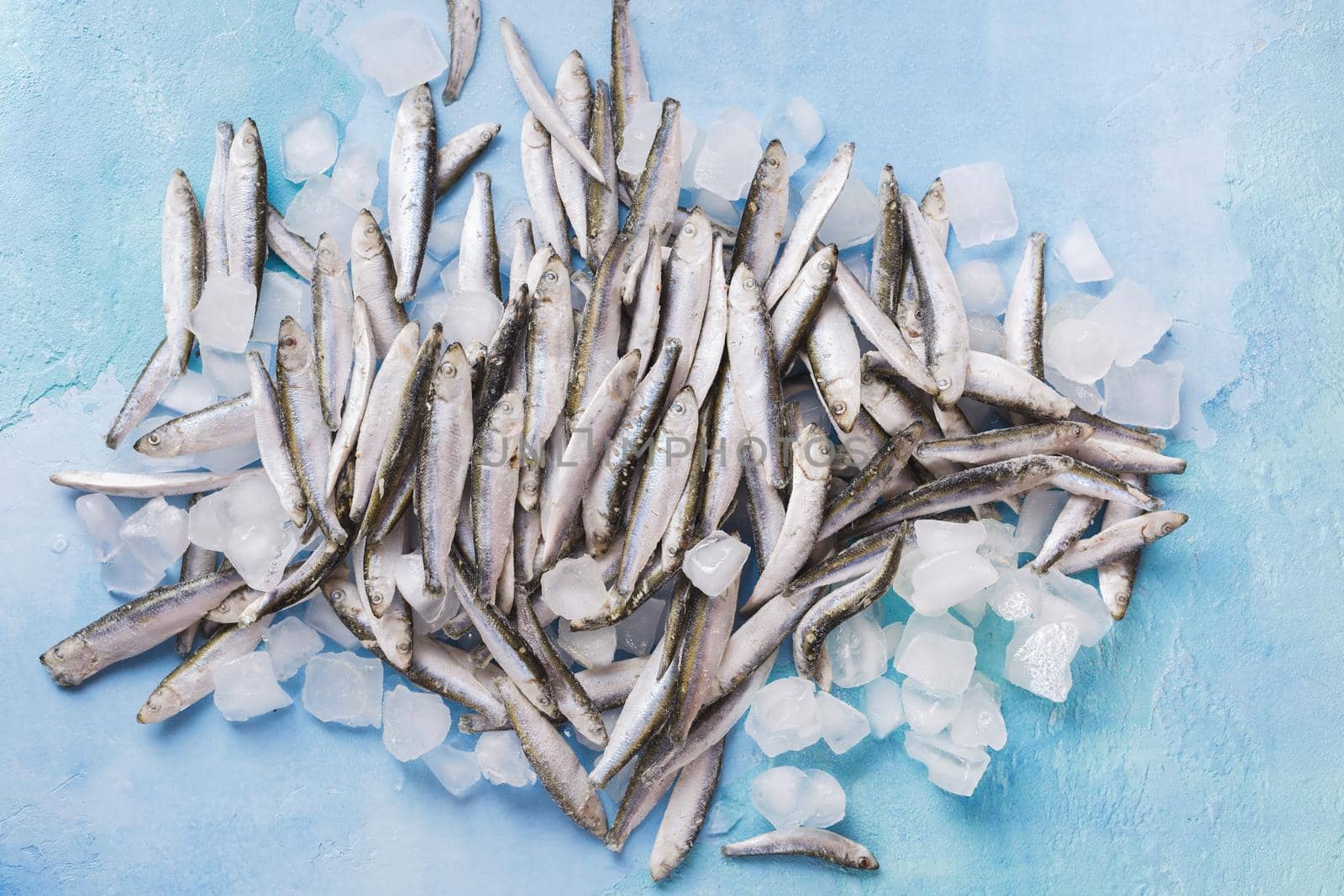 Frozen  sprats on ice  on blue background. Frozen whole fish stacked upon each other sitting under and on ice. top view, blank space by Slast20