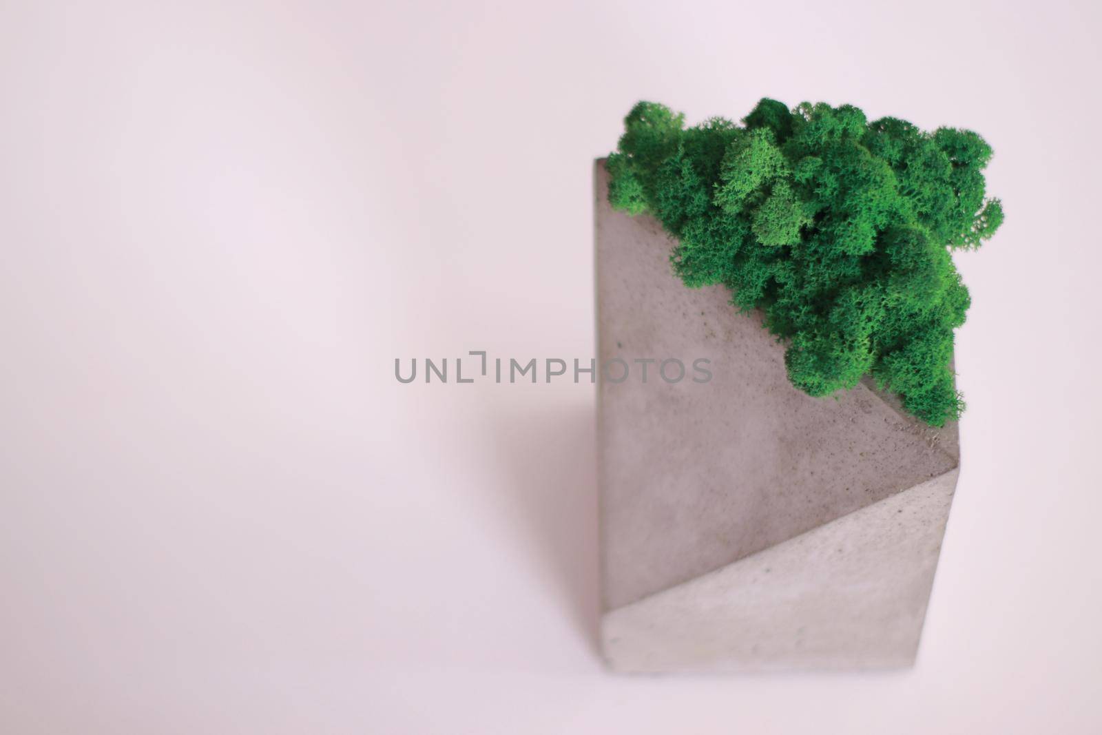 A concrete organiser with stabilized moss in it on a white table