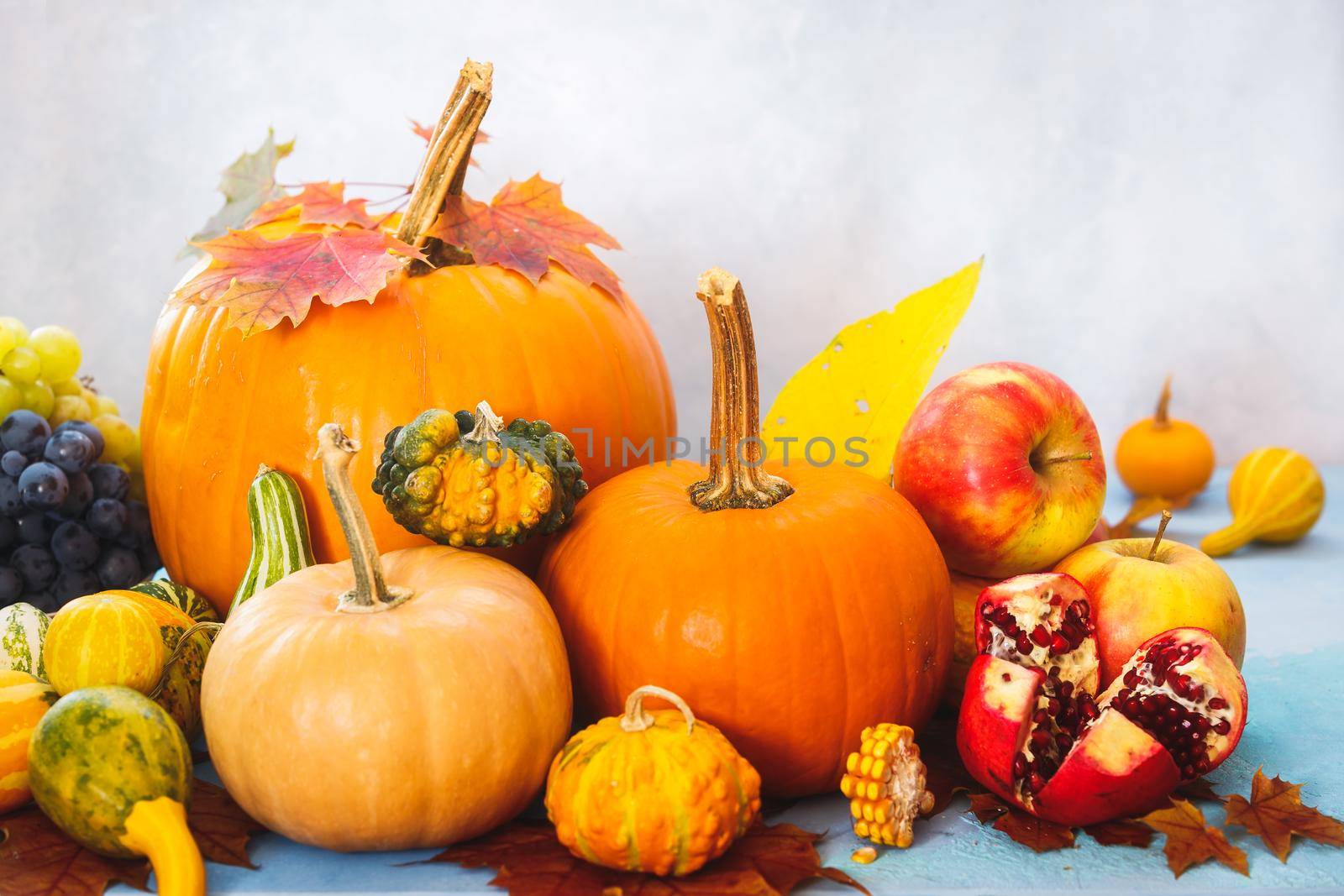 Autumn still life with edible and ornamental pumpkins and gourds, grapes, apple and pomegranate, selective focus