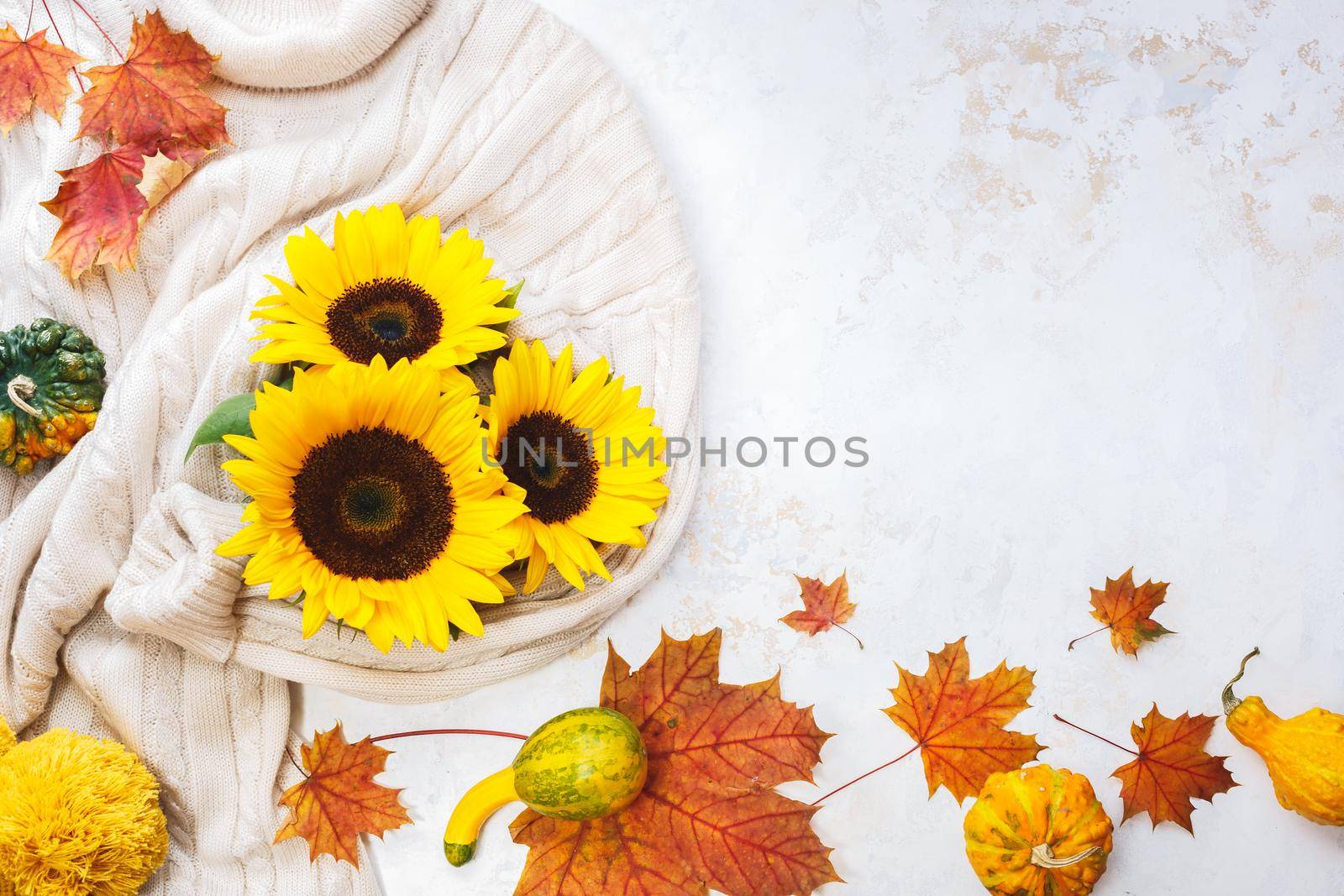 Autumn flat lay composition. White knitted  female sweater and golden sunflowers on white rustic background, top vie by Slast20