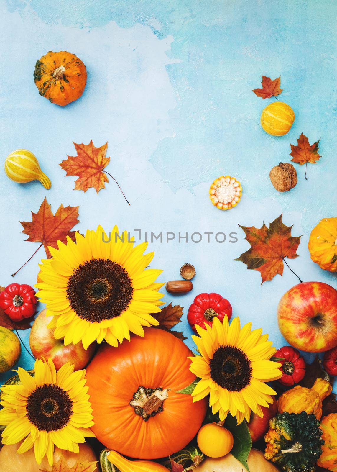 Fall fruits and vegetables with golden sunflowers. Still life composition, can be used for Thanksgiving concepts,  Halloween or  autumn  harvest.Top view, blank space, rustic background by Slast20