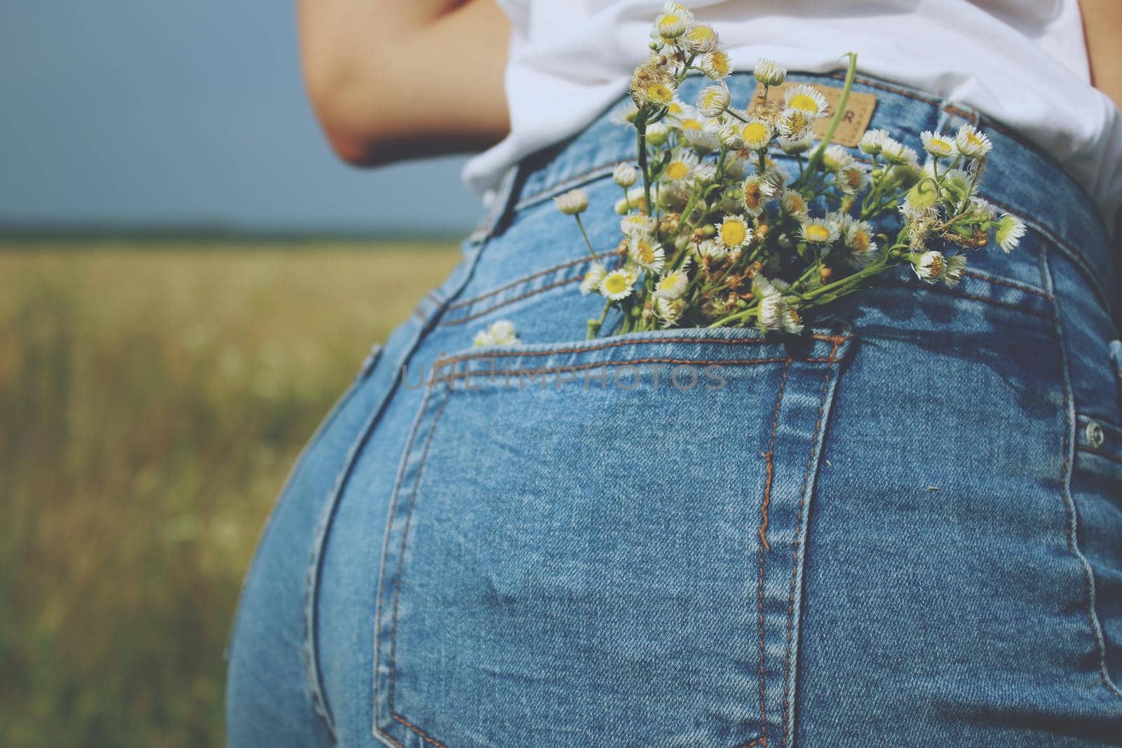 A close up of jeans with flowers in it's pocket. At the field