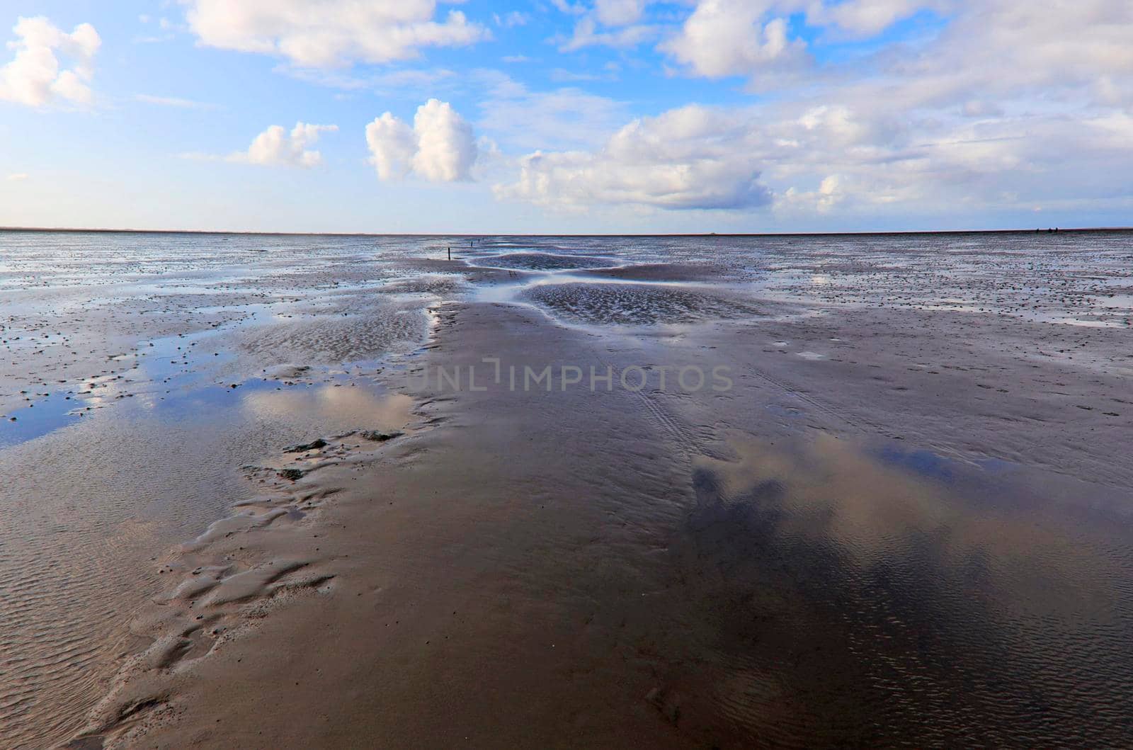 The Wadden Sea National Park near the Peninsula Nordstrand in Germany, Europe by Weltblick