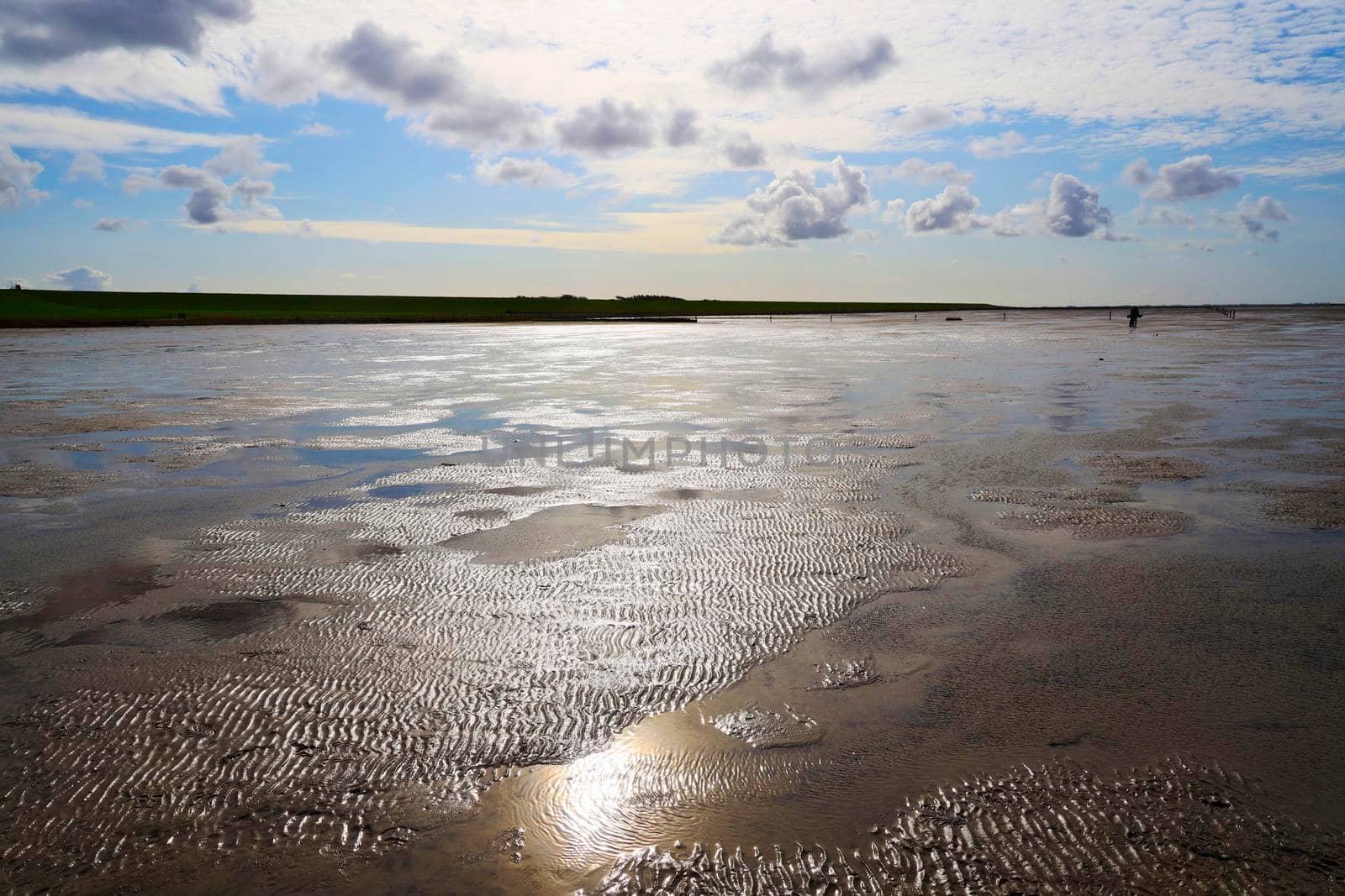 The Wadden Sea National Park near the Peninsula Nordstrand, Germany, Europe