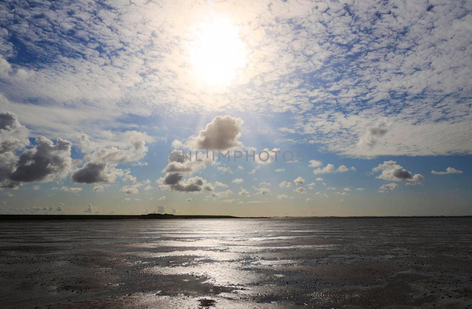 The Wadden Sea National Park near the Peninsula Nordstrand in Germany, Europe by Weltblick