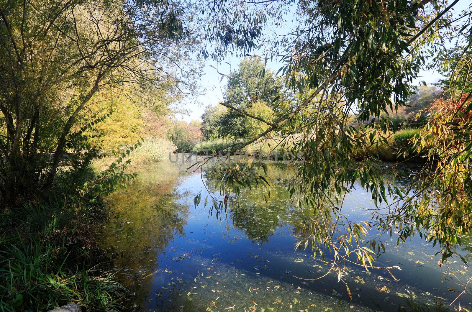 The Wertwiesen Park in Heilbronn, Baden-Württemberg, Germany, Europe