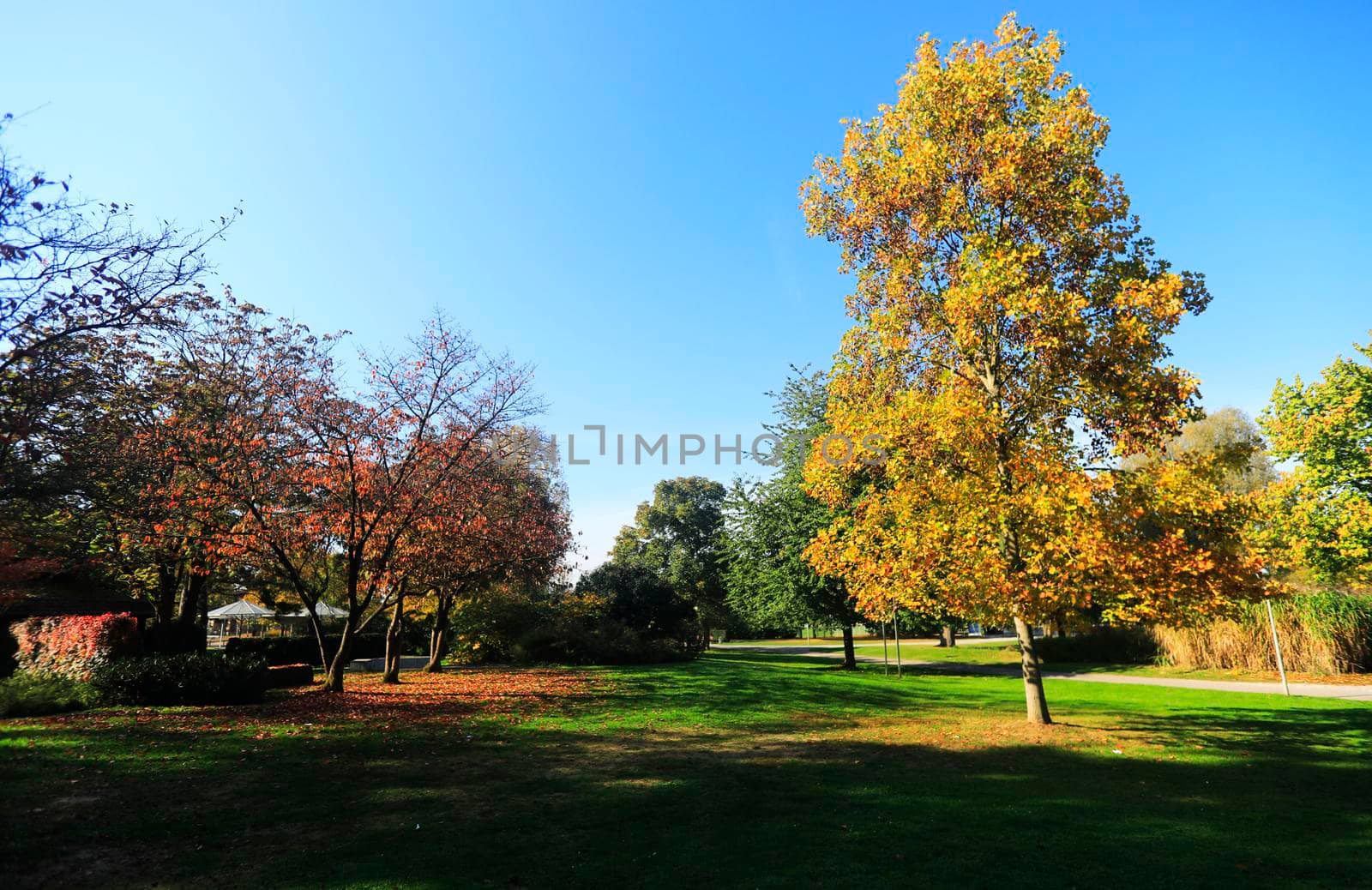 The Wertwiesen Park in Heilbronn, Germany, Europe by Weltblick